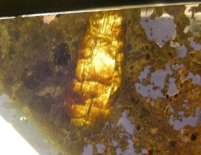 Close-up on a slice of the Estherville mesosiderite