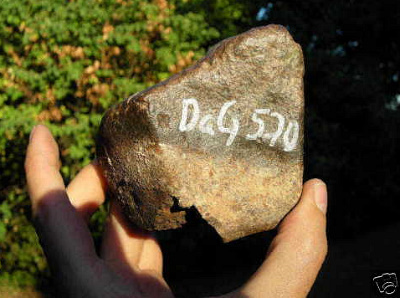 DaG 570, L4/5 Chondrite, Main Mass