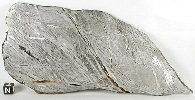 A 520g Full Slice of Seymchan - Iron or Pallasite?