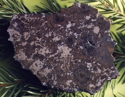 An Endcut of the Lowicz Mesosiderite