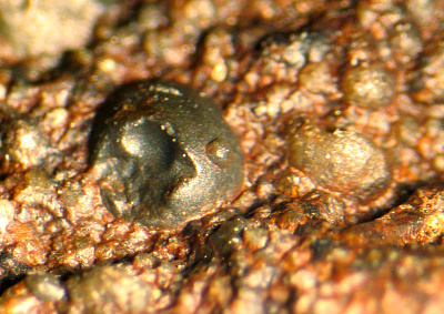 Figure 6: A more eroded chondrule with dents